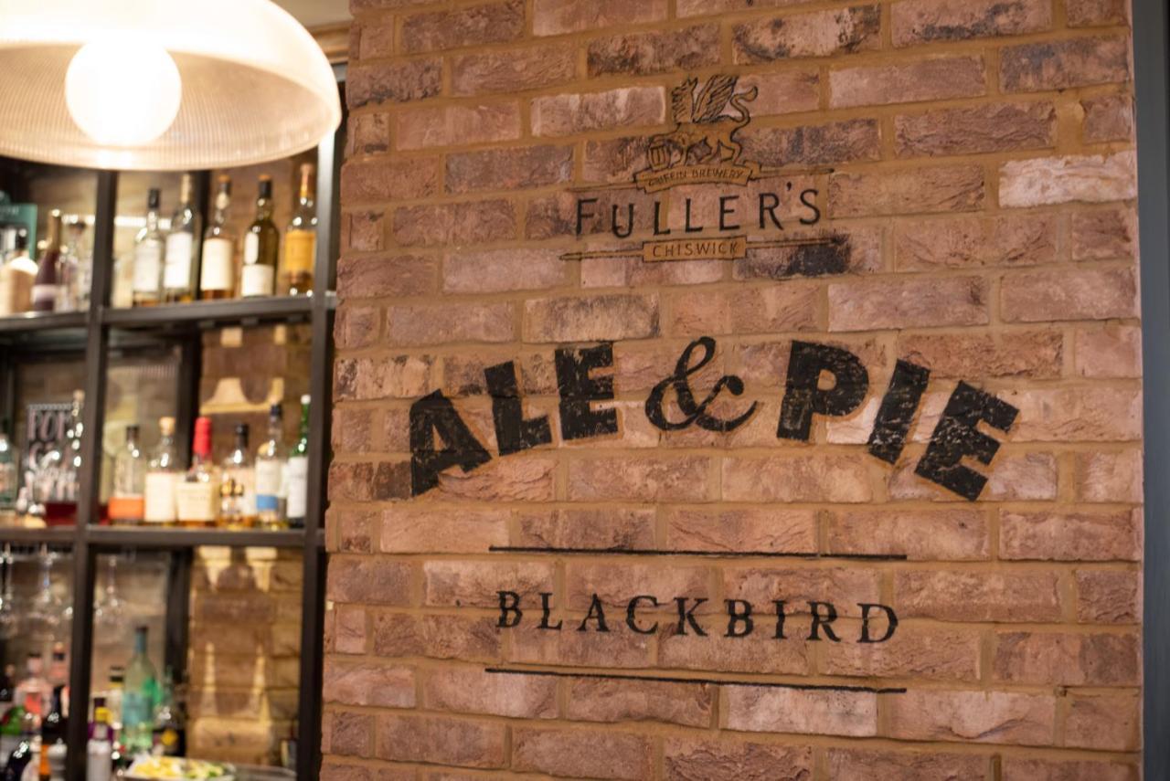 Blackbird Londres Extérieur photo